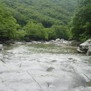 무풍면019 Daum카페