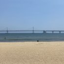 리틀오스 이미지