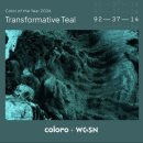 틸네일 | 샵 와이스토리) 2026 트랜드 컬러/트랜스포머티브 틸(Transformative Teal)/클라우드댄서(Cloud Dancer)
