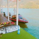 새글로벌 행정사사무소 이미지