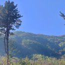 두밀숲캠핑장 이미지