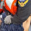 흥남해수욕장 이미지