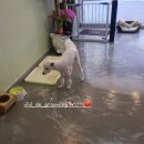 비비드그루밍 이미지