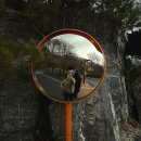 백운면 2112 | 2112_제천 리솜포레스트 빌라형 24평 룸 컨디션 가격...해브나인 스파, 단락 사진관 이용 등 솔직후기 1탄