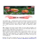 한국보건복지실버케어 이미지
