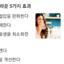 🥛하루 1리터 물 마시기 달글🥛 이미지