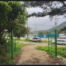 발랑1리 | 노고산 임도 비암리 임도