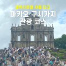 첼로 | 마카오 세나도광장 가는 법｜갤럭시호텔 셔틀 성바울성당 레몬첼로 후기