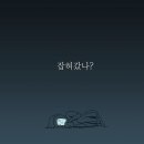 칼디의선물