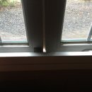 일양교회 Daum카페