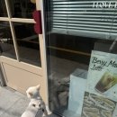 사랑해베이글 부산연산점 | 나 진짜 베이글 사랑하는 사람인데 부산시청 연산 사랑해베이글 먹어본 후기(메뉴, 주차)