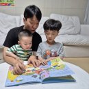 (상반기)그림책과 함께하는 유아 클래식 | 그레이트북스 도레미곰 영유아전집 두돌아기 세계창작동화 책육아 후기