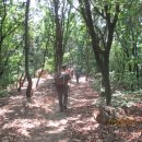 매산목장 이미지