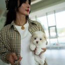 푸숑푸숑 이미지