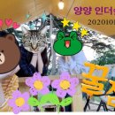 캠프 인더숲 이미지