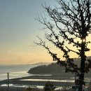 대명항_대명항화장실 | 오션 포레스트 캠핑장 : 강화도 캠핑장 / 숲B-02사이트 2박 3일 / 대명항 수산시장, 짬뽕강자 방문 후기