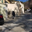 에메랄드 문현탕 이미지