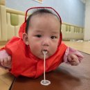 홈플러스(주)오창점 | 오창 홈플러스 문화센터 최정윤 강사님의 한솔잼잼나라 8주차 후기 (마더스케어반 저월령 추천)