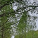 익산은혜약국 이미지