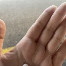 푸른솔목장 이미지