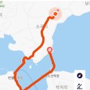 안좌개발 | 목포가볼만한곳 신안퍼풀섬 퍼플교