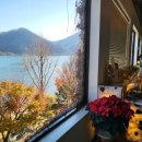 라온중고등학교 | 11월 29일, 토요일 AM 08:30 - 명예욕 심리와 대너리스 이야기 (feat. 대항해시대)