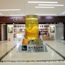 데미샘빌리지펜션 이미지