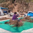 홍시약국 이미지