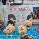 샾(#) 인형뽑기 이미지