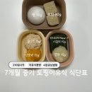 현미부침 | 7개월 중기 1단계 토핑이유식 식단표 : 210일 하루 두끼 스케줄 및 시판이유식 큐브 병행