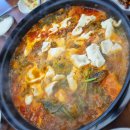 물만난 버섯 이미지