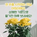 6월3일 월요일 쥐방 출부 이미지