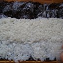 스마일김밥 Daum카페