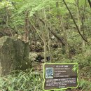 동악산 | 전남 곡성 동악산 여름산행, 도림사계곡 비추천 등산코스 100대명산