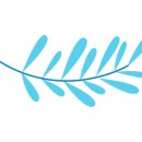 월산태권도 이미지