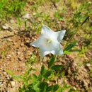 우암농장 이미지