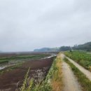 팔봉초등학교 이미지