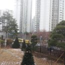 그린조경 이미지
