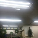 돌고래시장 이미지