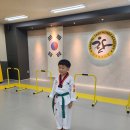 경희대 한결 태권도장 이미지