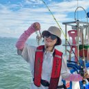 오이도철강단지 | 오이도 쭈꾸미 낚시배 몬스터호 후기 대부도 쭈꾸미 체험