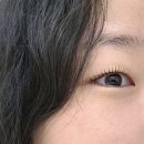 장산뷰티 | 해운대 속눈썹펌 잘하는 장산 헤브뷰티 내돈내산 후기