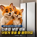 현성전기 | 삼성 비스포크 651L 냉장고 후기, 신혼집 냉장 성능 이렇게 좋을 줄 몰랐어요 [리뷰하는 제프]