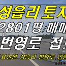 [ 표선면 성읍리 번영로 접한 토지 매매(2800평/빌라용지/공원용지) ]#성읍토지, 성읍리토지, 표선토지, 표선면토지, 성읍2리토지, 성읍이리토지 이미지