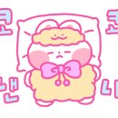 디자인아프리카 이미지