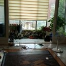 청룡동-3 Daum카페