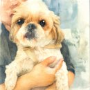 표선동물병원 이미지