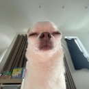 솔비네김밥 | 많은 행복이 찾아오기를