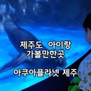㈜대양 | 성산일출봉 뷰 제주도 아이랑 가볼만한곳 아쿠아플라넷제주 솔직후기