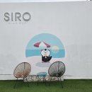 여수 리베라 풀빌라 리조트 | [여수] 여수 풀빌라 리조트 솔직 방문 후기 시로리조트&amp;풀빌라